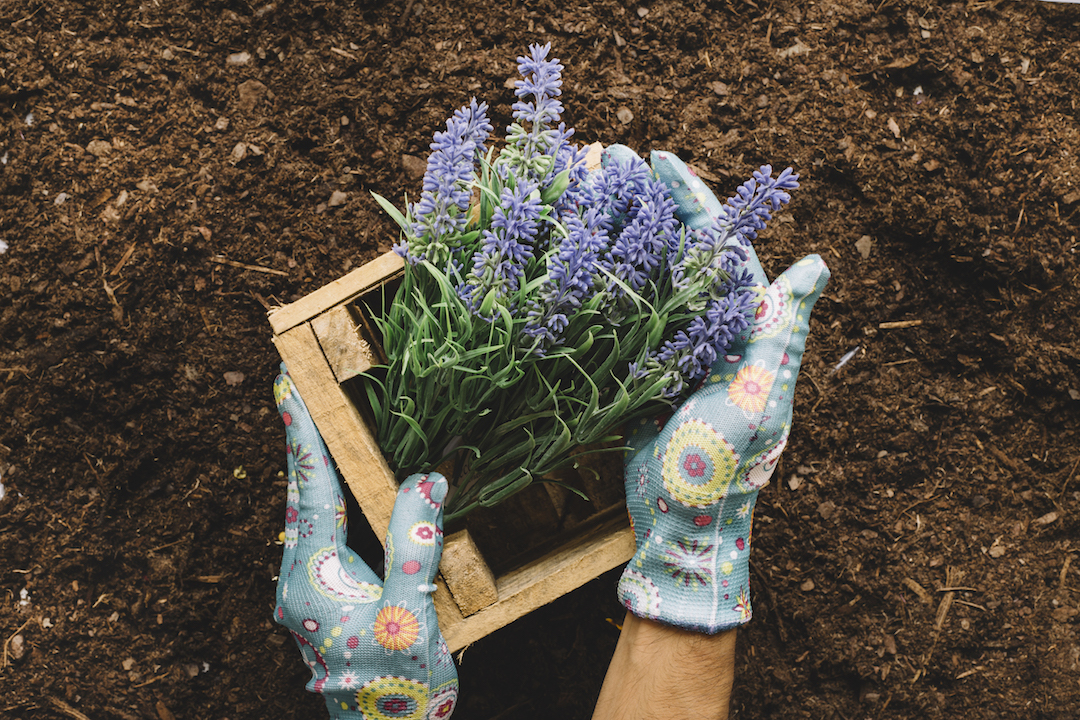 Knoxville Landscaping