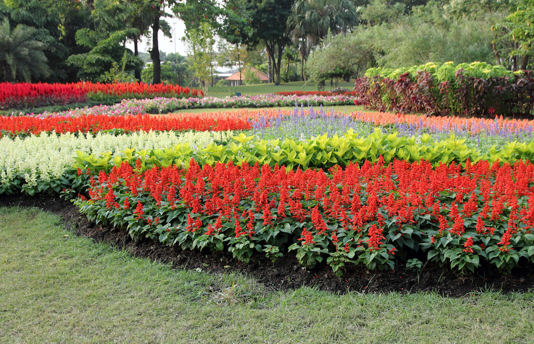 Knoxville Landscaping