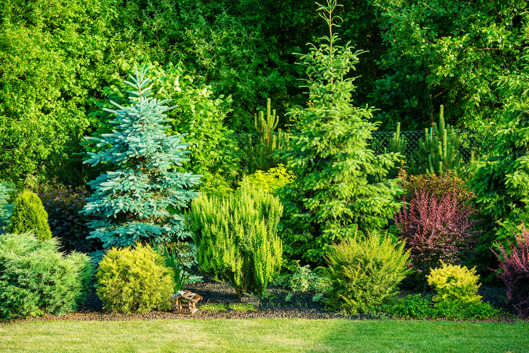 Knoxville Landscaping